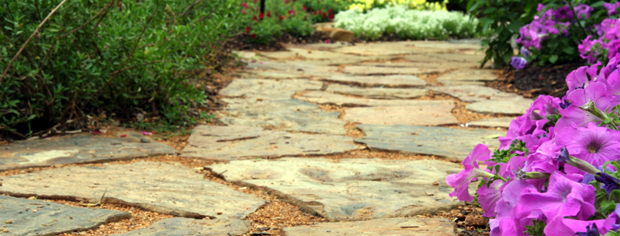 Landscape Design Excellence